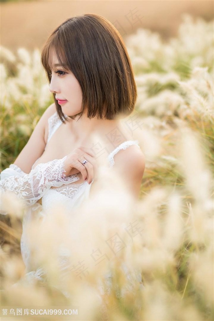 美女被视频网站免费看